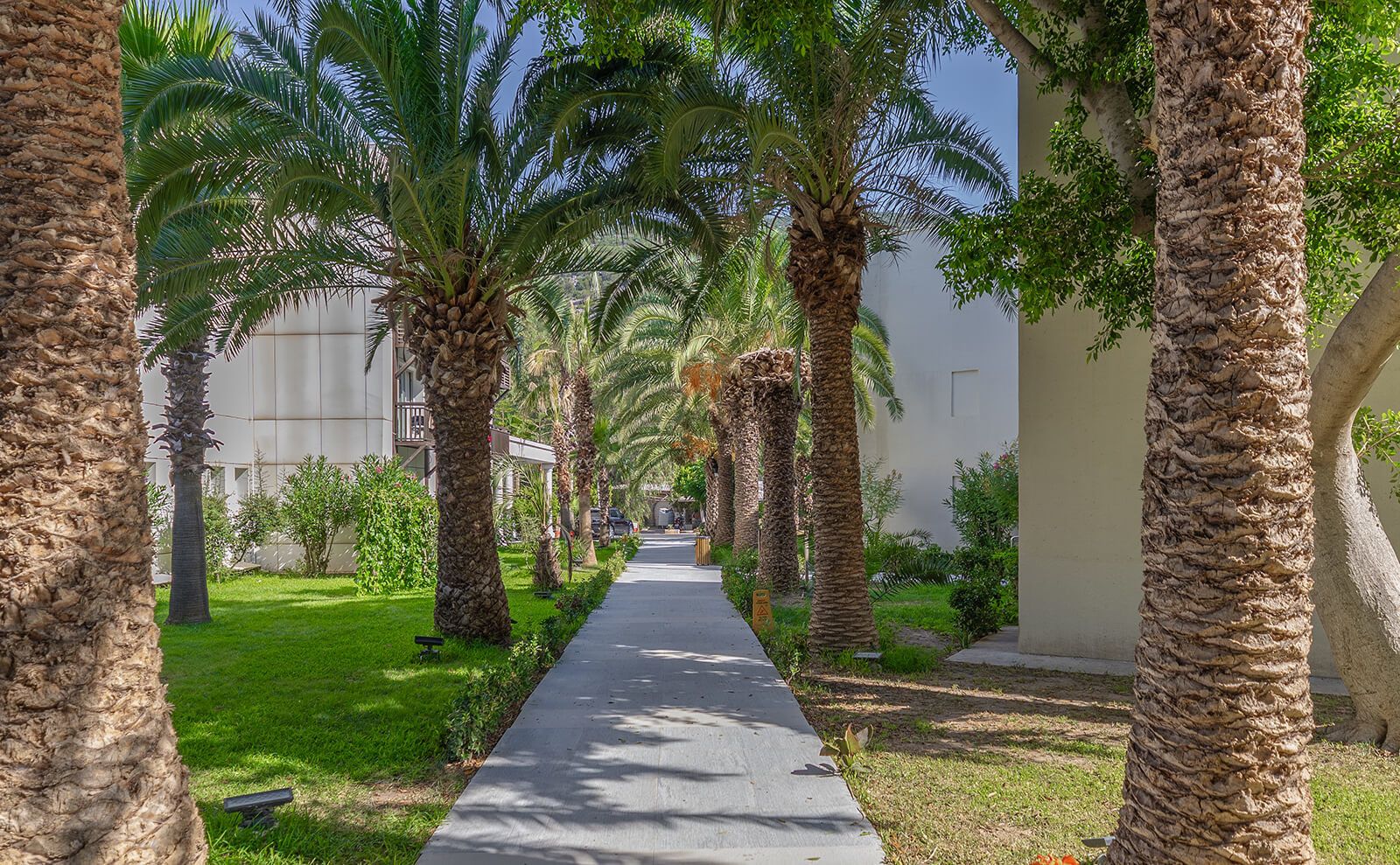 Latanya Park Hotel Galeri 6